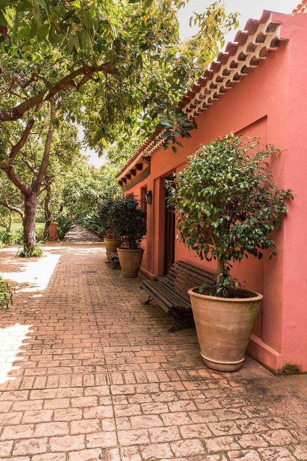 טקורונטה Homeforguest Cosy Rural Flat La Lavanda Surrounded By Nature מראה חיצוני תמונה