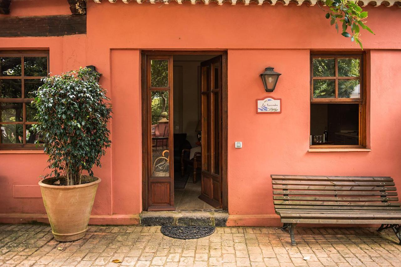 טקורונטה Homeforguest Cosy Rural Flat La Lavanda Surrounded By Nature מראה חיצוני תמונה
