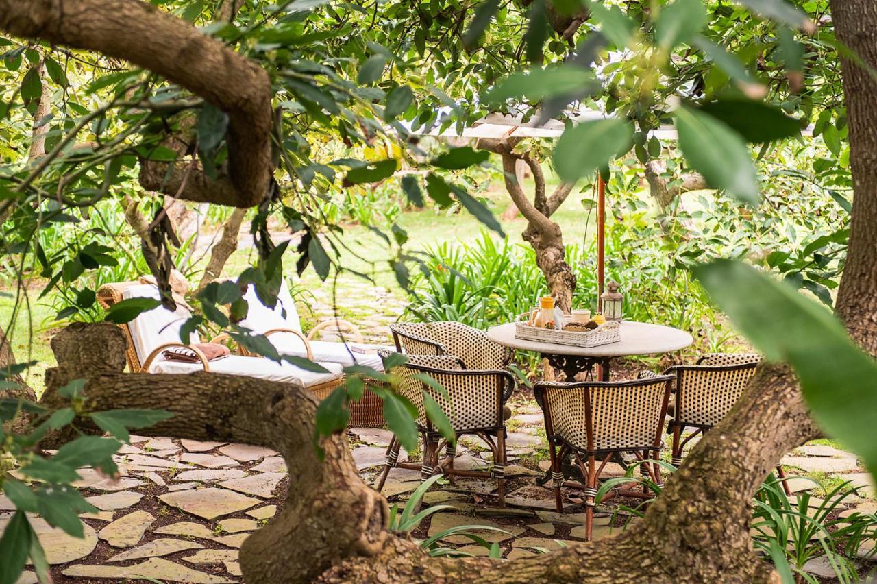 טקורונטה Homeforguest Cosy Rural Flat La Lavanda Surrounded By Nature מראה חיצוני תמונה