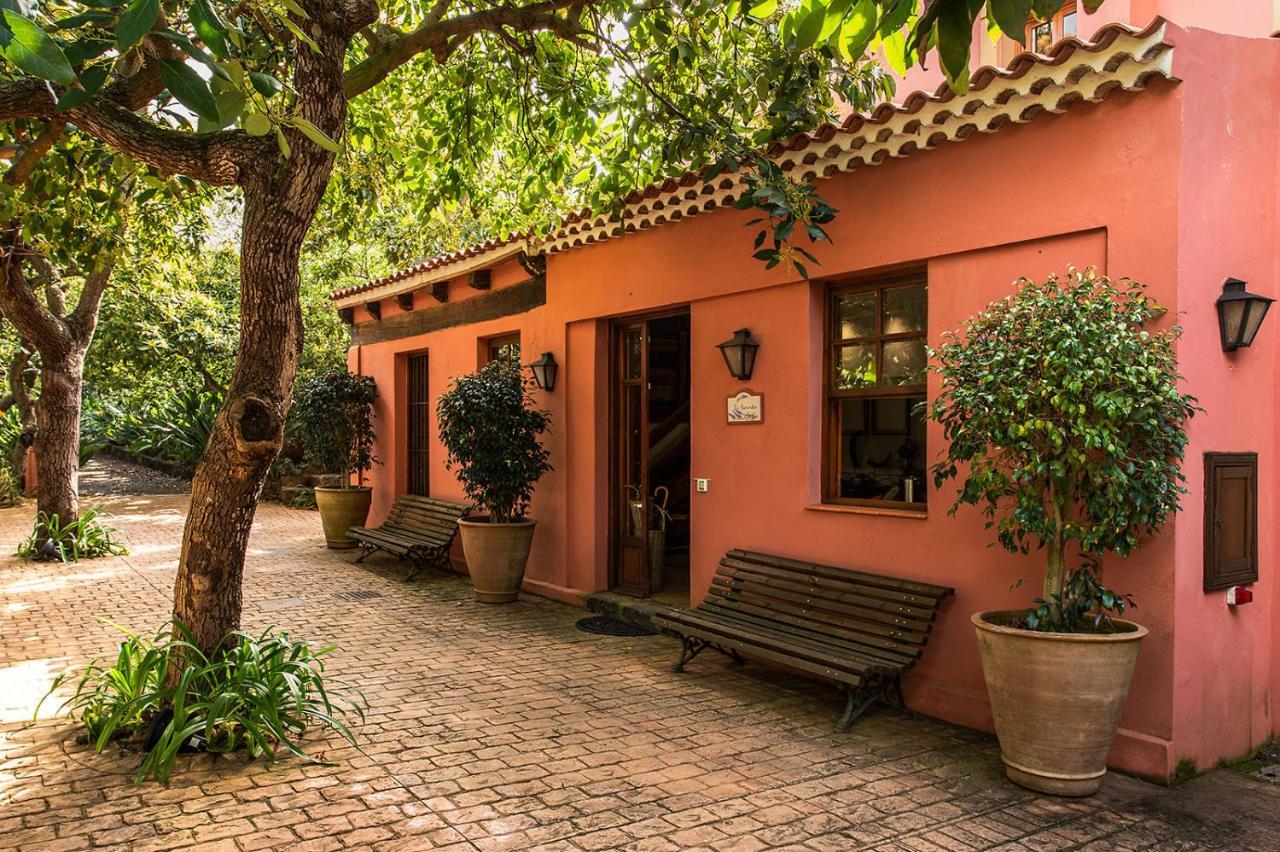 טקורונטה Homeforguest Cosy Rural Flat La Lavanda Surrounded By Nature מראה חיצוני תמונה