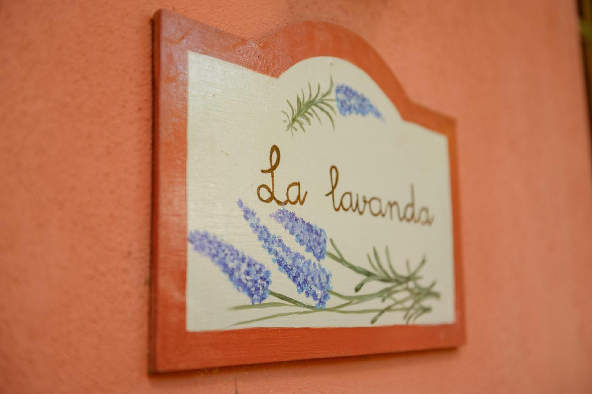טקורונטה Homeforguest Cosy Rural Flat La Lavanda Surrounded By Nature מראה חיצוני תמונה