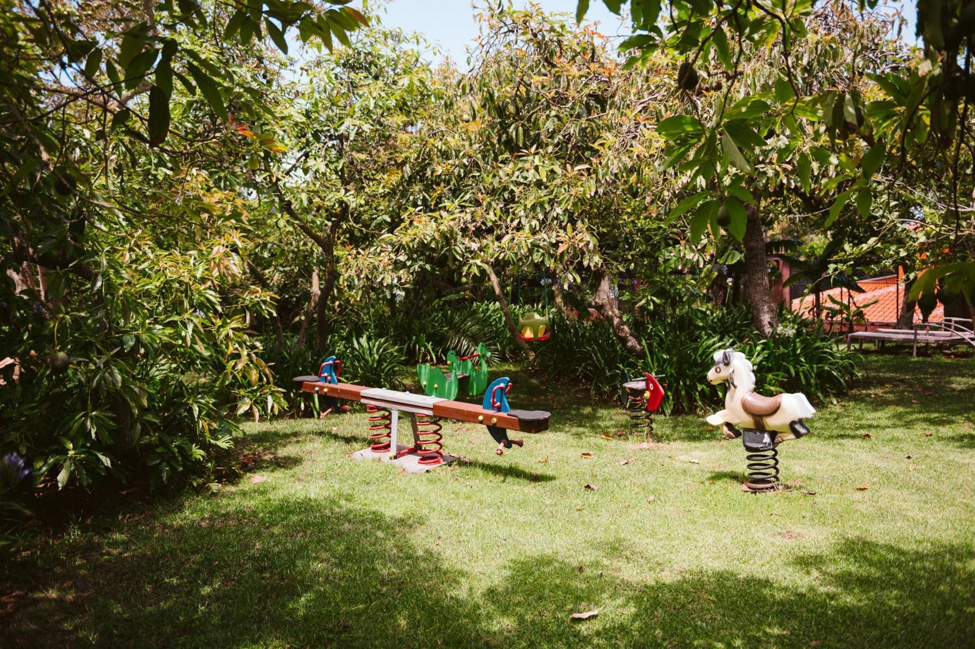 טקורונטה Homeforguest Cosy Rural Flat La Lavanda Surrounded By Nature מראה חיצוני תמונה