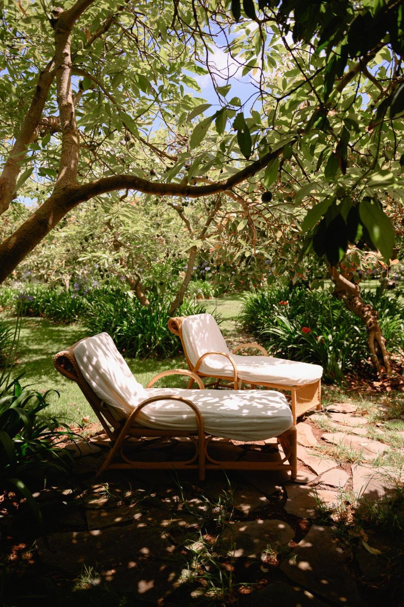 טקורונטה Homeforguest Cosy Rural Flat La Lavanda Surrounded By Nature מראה חיצוני תמונה